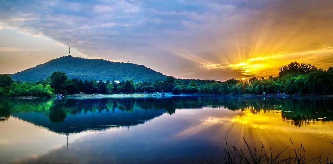 市委书记的文章,市委书记文章