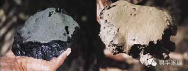 蟹塘水体浑浊如何调整,虾蟹塘水质浑浊怎么办