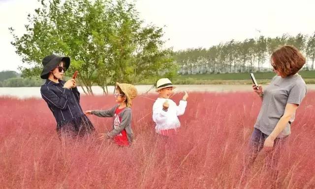 已爆满！刚刚湖州这个景区发出紧急通知，请前往周边游玩