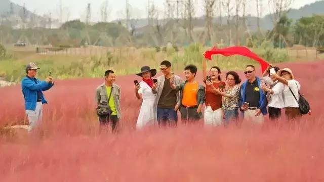 已爆满!刚刚湖州这个景区发出紧急通知,请前往周边游玩