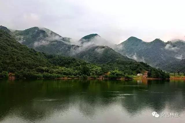 已爆满！刚刚湖州这个景区发出紧急通知，请前往周边游玩