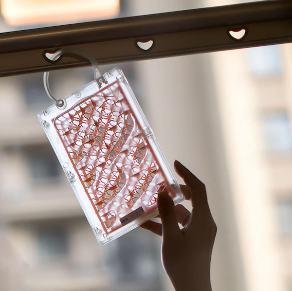 有了岛国的隐形蚊帐，再也不用半夜醒来给蚊子鼓掌了