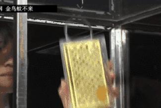 有了岛国的隐形蚊帐，再也不用半夜醒来给蚊子鼓掌了