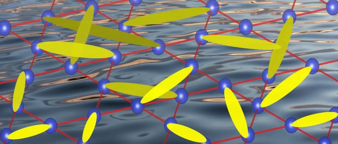新型Kagome量子自旋液体材料|权威点评