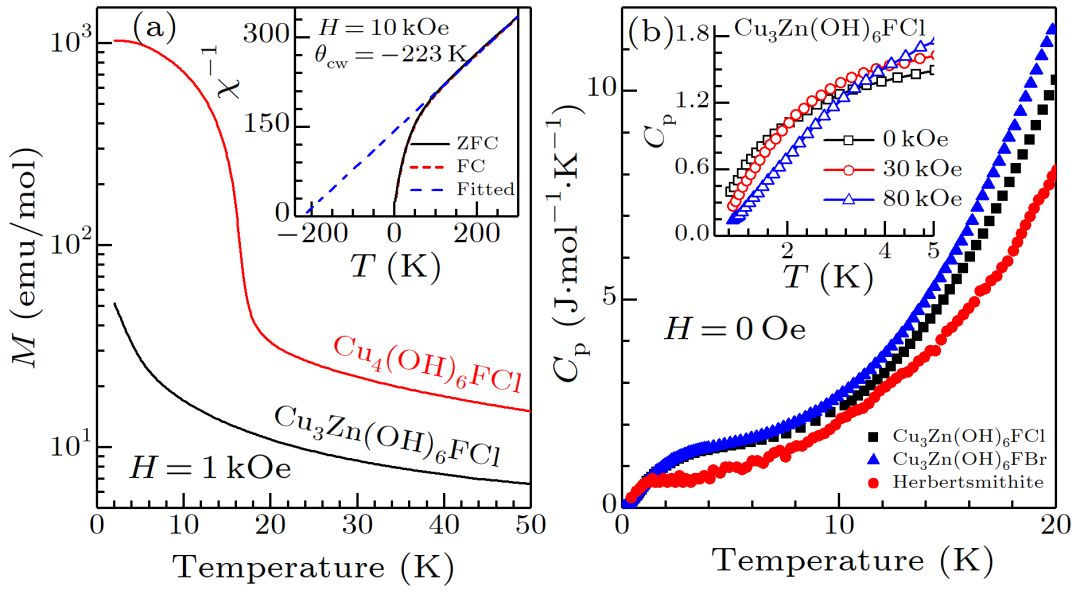 新型Kagome量子自旋液体材料|权威点评