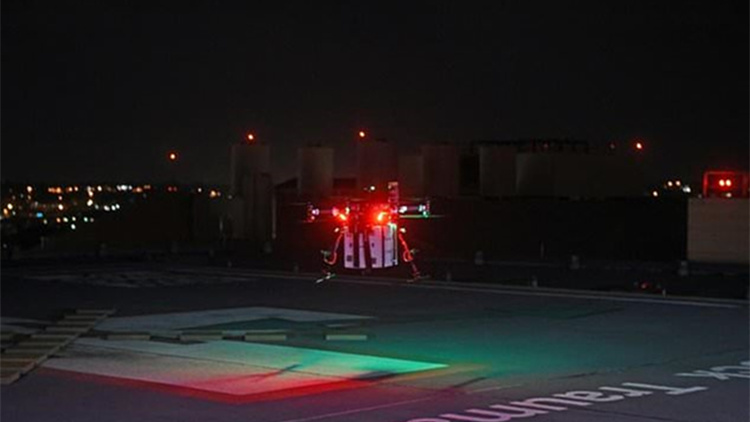 伊朗绿巨人有多强,伊朗绿巨人拳击比赛