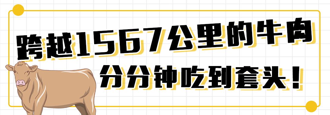 中国最便宜的龙虾店,99元4斤龙虾后续
