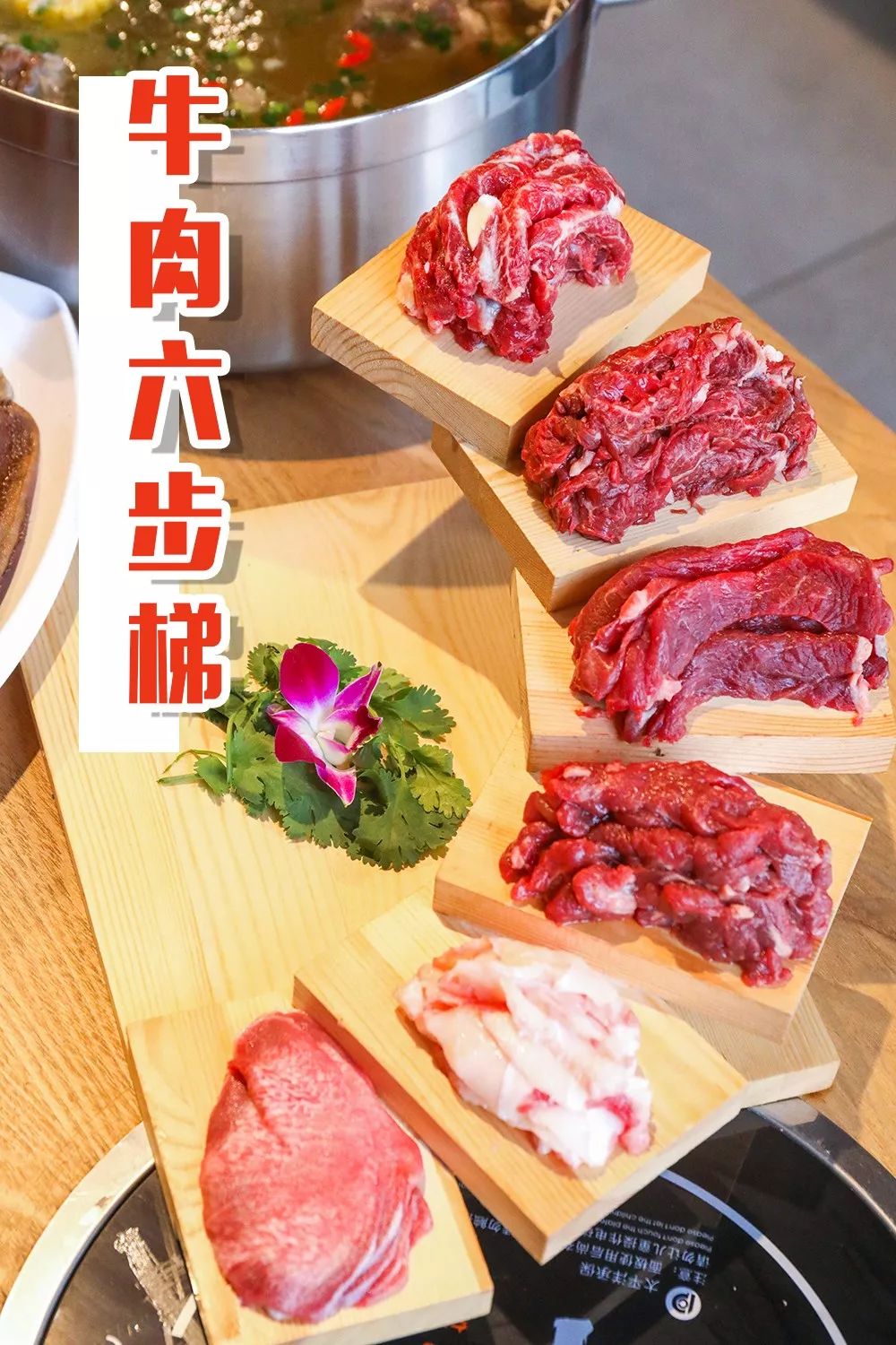 中国最便宜的龙虾店,99元4斤龙虾后续