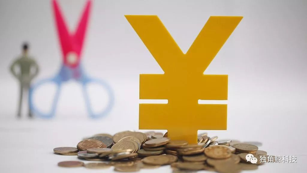 云集微店上市背后:付费会员的路在中国行得通吗?