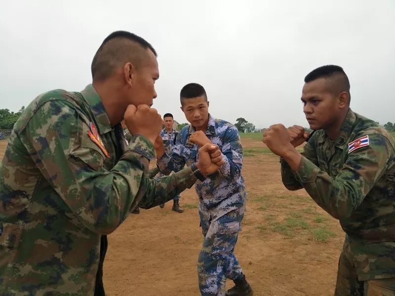中泰友谊干杯完整视频,友谊地久天长图片唯美