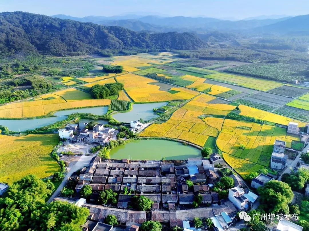 广州市增城区乡村风景图片,增城美丽乡村图