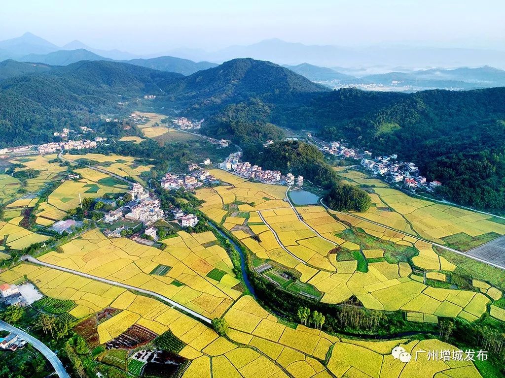 广州市增城区乡村风景图片,增城美丽乡村图