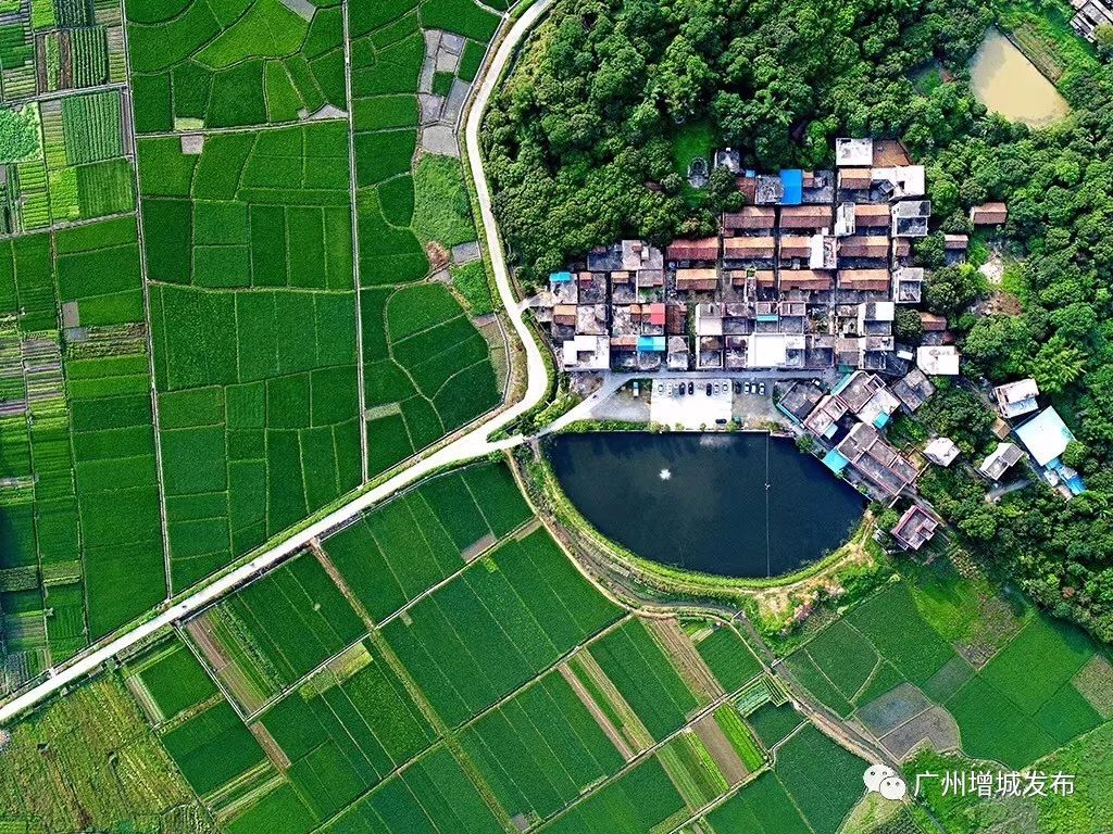 广州市增城区乡村风景图片,增城美丽乡村图