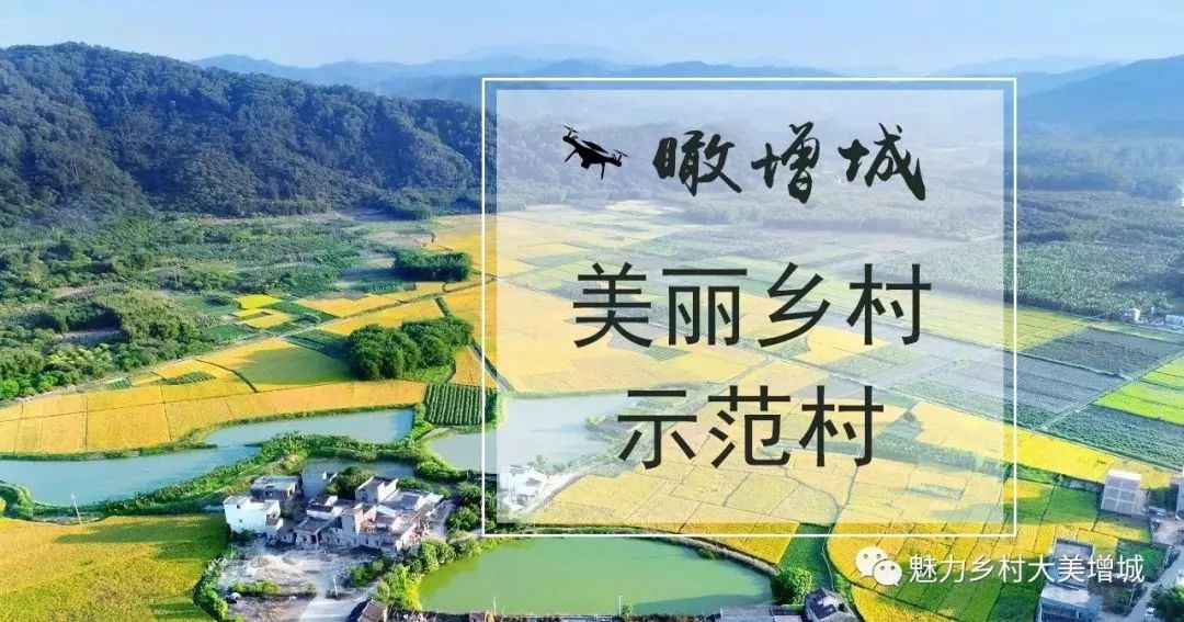 广州市增城区乡村风景图片,增城美丽乡村图