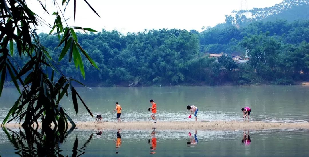 广州市增城区乡村风景图片,增城美丽乡村图