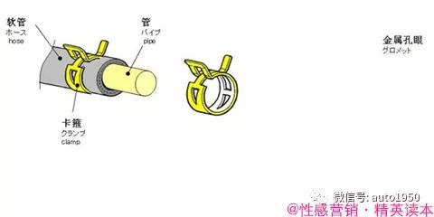 汽车整车解剖图集,汽车整体构造解剖整车