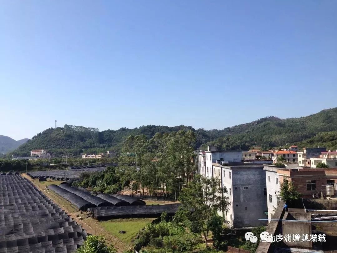 抓住假期小尾巴打卡最美网红地,抓住国庆假期的尾巴继续打卡