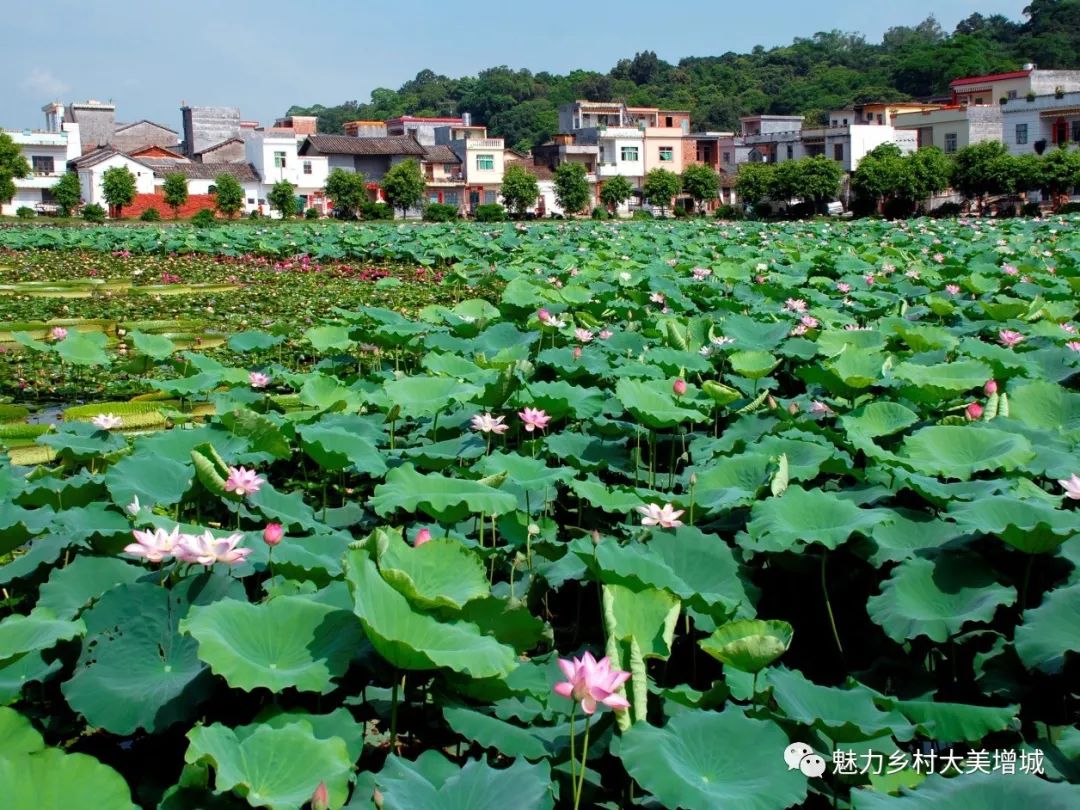 抓住假期小尾巴打卡最美网红地,抓住国庆假期的尾巴继续打卡