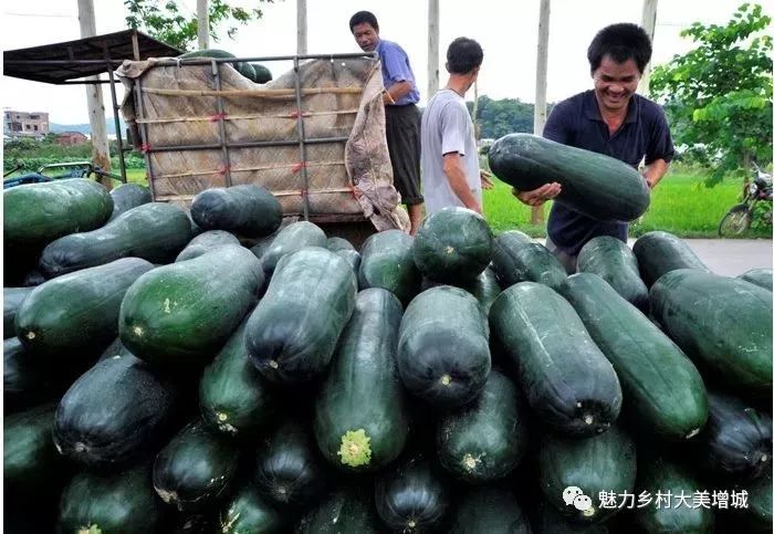 抓住假期小尾巴打卡最美网红地,抓住国庆假期的尾巴继续打卡