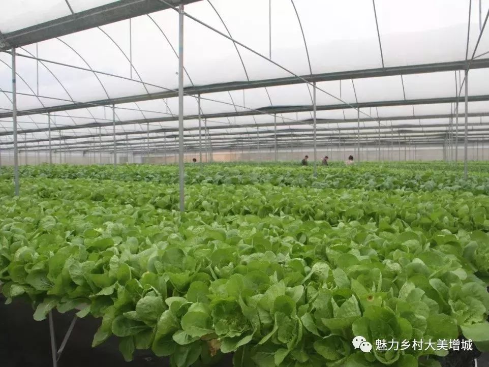 抓住假期小尾巴打卡最美网红地,抓住国庆假期的尾巴继续打卡