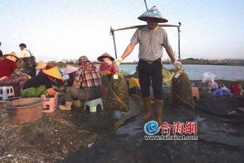 翔安市场临时工,招临时工17块钱一小时翔安