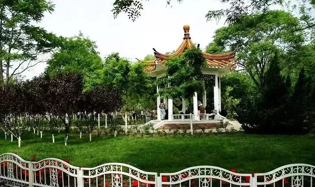 城事丨天津竟然有这么多免费公园可逛,趁假期最后一天赶紧去逛逛吧!