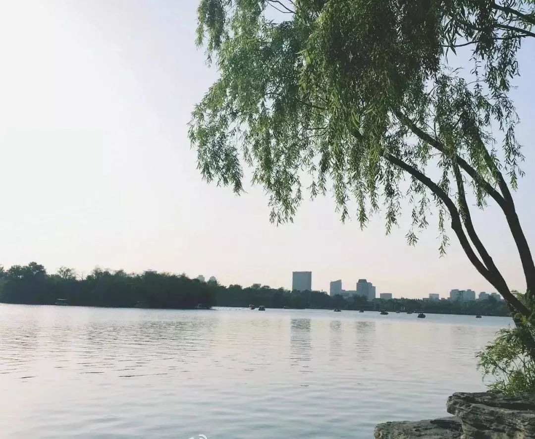 城事丨天津竟然有这么多免费公园可逛,趁假期最后一天赶紧去逛逛吧!