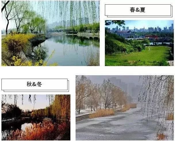 城事丨天津竟然有这么多免费公园可逛,趁假期最后一天赶紧去逛逛吧!