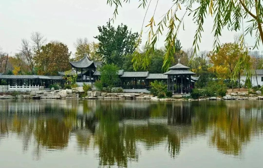 城事丨天津竟然有这么多免费公园可逛,趁假期最后一天赶紧去逛逛吧!