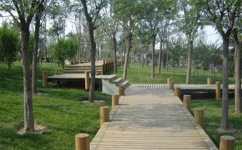 城事丨天津竟然有这么多免费公园可逛,趁假期最后一天赶紧去逛逛吧!