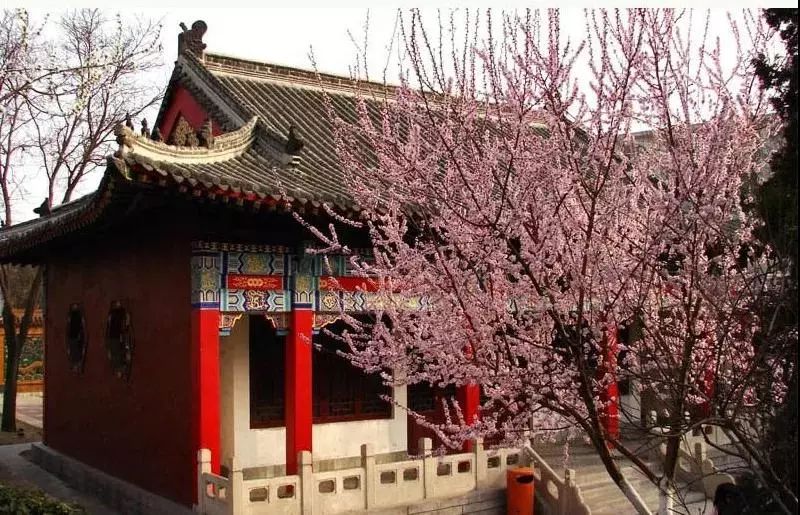 城事丨天津竟然有这么多免费公园可逛,趁假期最后一天赶紧去逛逛吧!