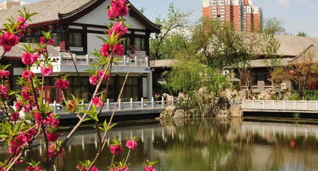 城事丨天津竟然有这么多免费公园可逛,趁假期最后一天赶紧去逛逛吧!