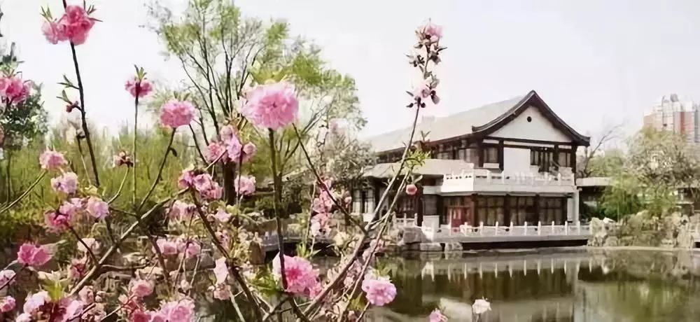 城事丨天津竟然有这么多免费公园可逛,趁假期最后一天赶紧去逛逛吧!