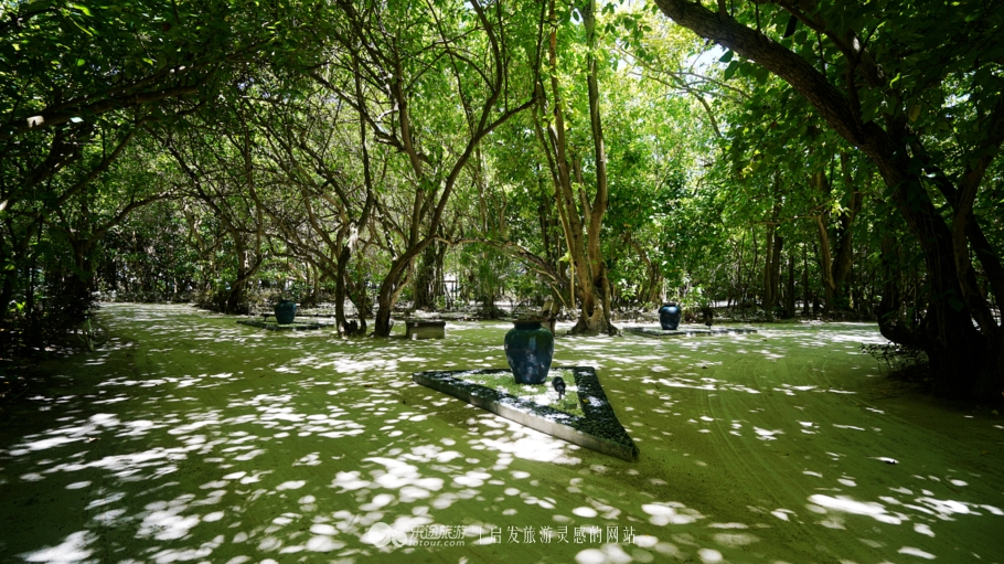 人间仙境马尔代夫旅游攻略,马尔代夫香格里拉岛