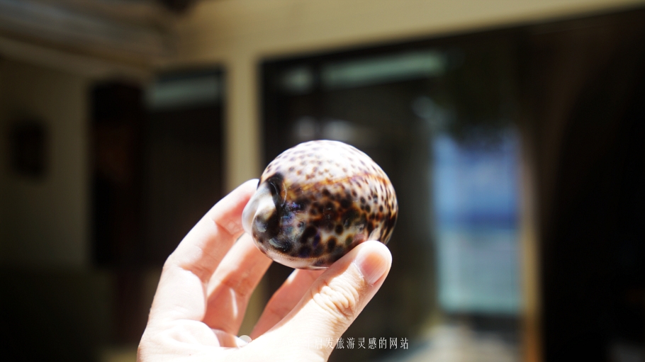 人间仙境马尔代夫旅游攻略,马尔代夫香格里拉岛