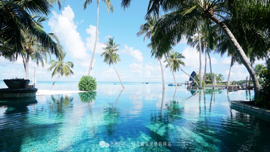 人间仙境马尔代夫旅游攻略,马尔代夫香格里拉岛