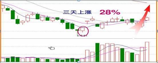 中国股市炒股最厉害排行,中国股市最强散户