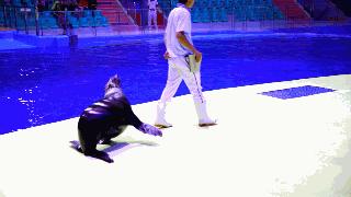 六一儿童节游玩玩些什么,六一玩乐全攻略