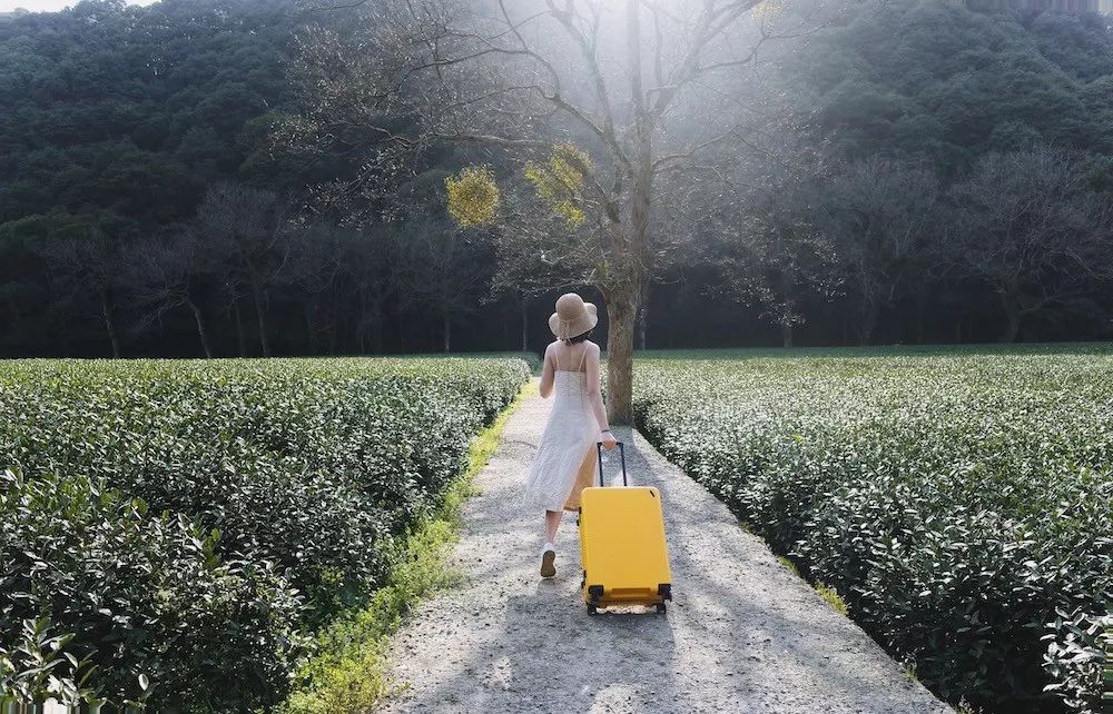 旅行箱里的东西如何清理,布旅行箱脏了怎么清洗