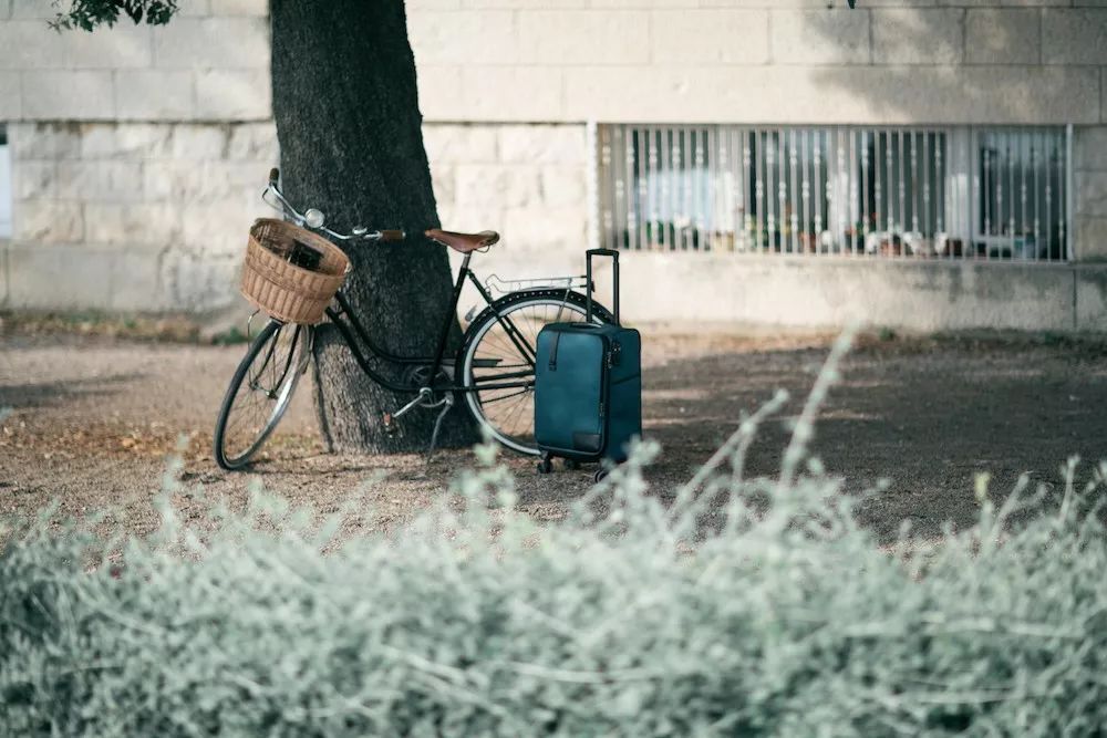 旅行箱里的东西如何清理,布旅行箱脏了怎么清洗