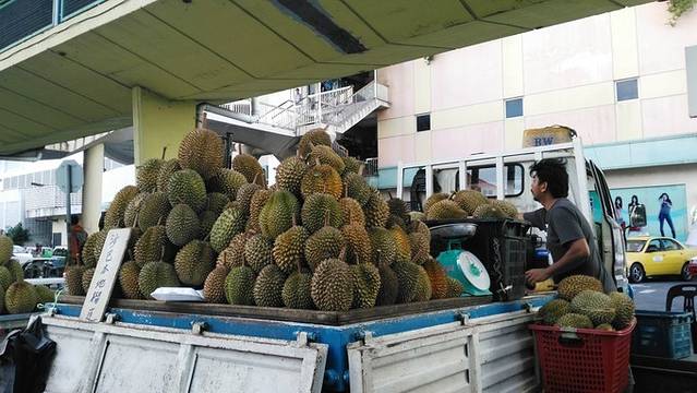 亚庇回国攻略,亚庇可以怎么逛