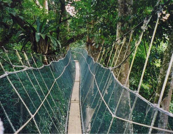 亚庇回国攻略,亚庇可以怎么逛