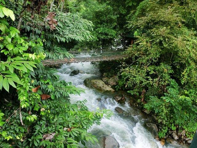 亚庇回国攻略,亚庇可以怎么逛