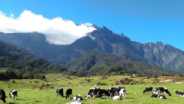 亚庇回国攻略,亚庇可以怎么逛