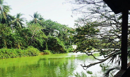 亚庇回国攻略,亚庇可以怎么逛