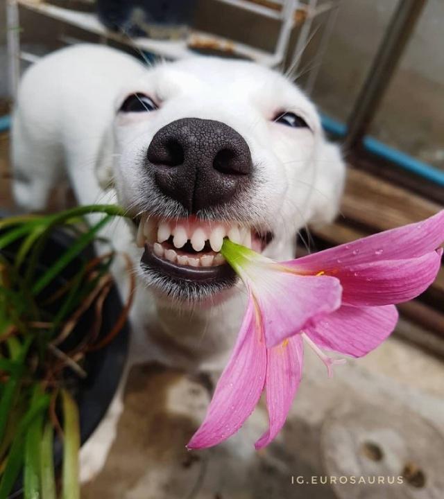 噎死人的雷人语句,能噎死人的幽默短句