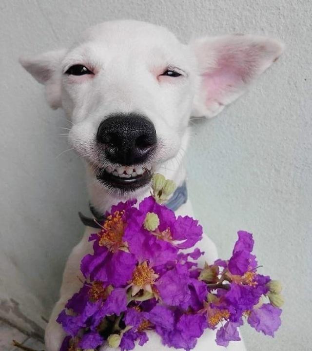 噎死人的雷人语句,能噎死人的幽默短句