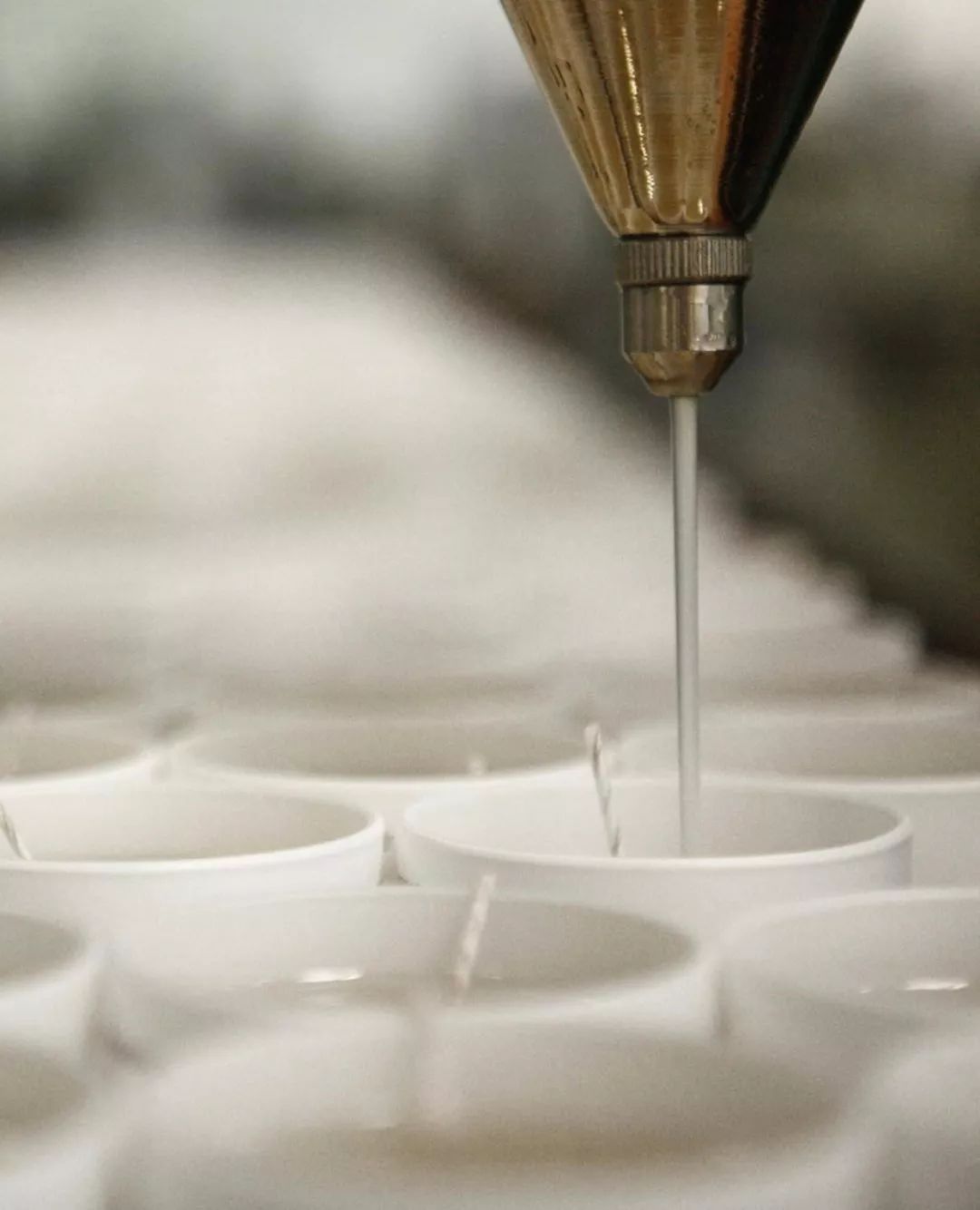 王子文戚薇,王子文和戚薇