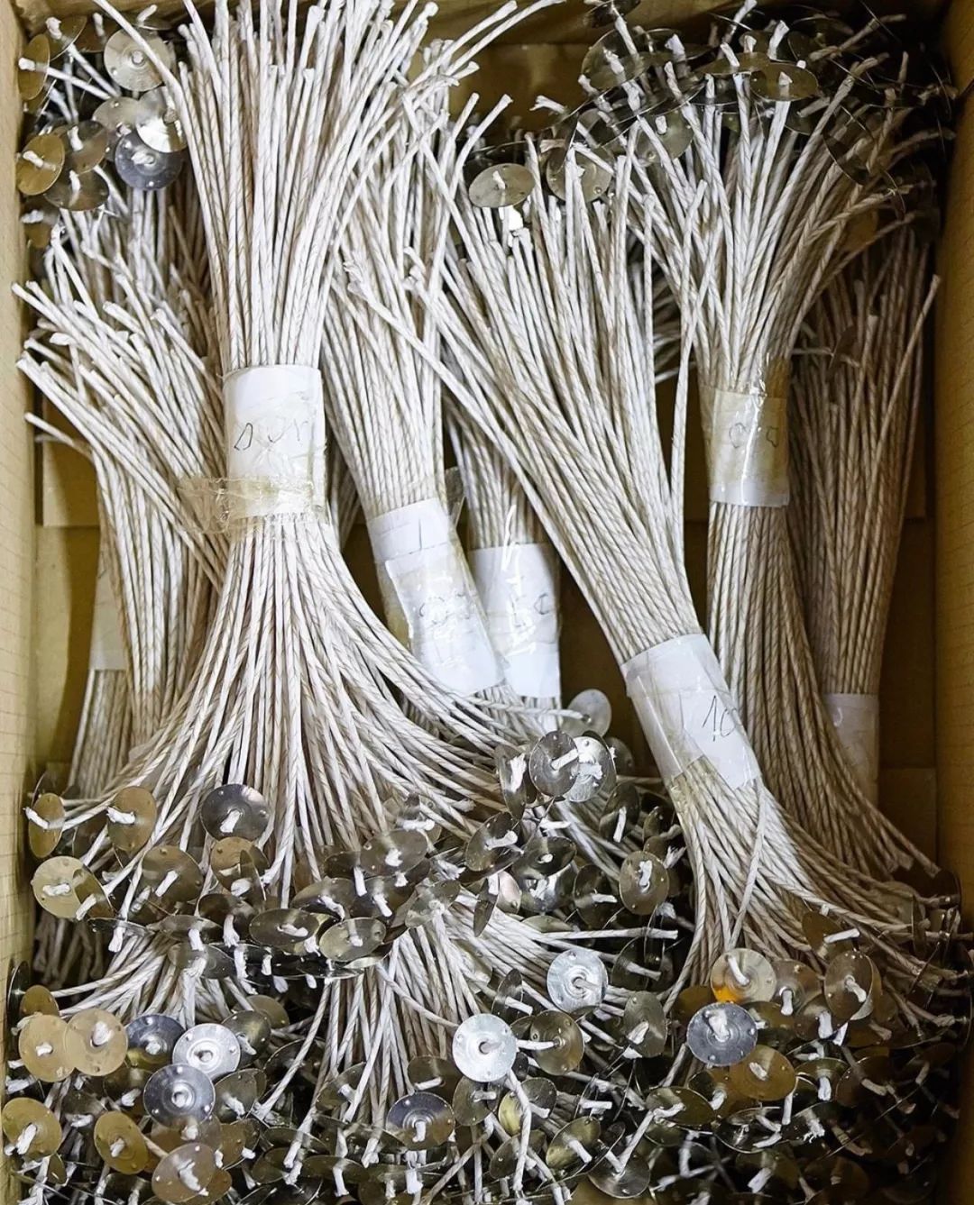 王子文戚薇,王子文和戚薇