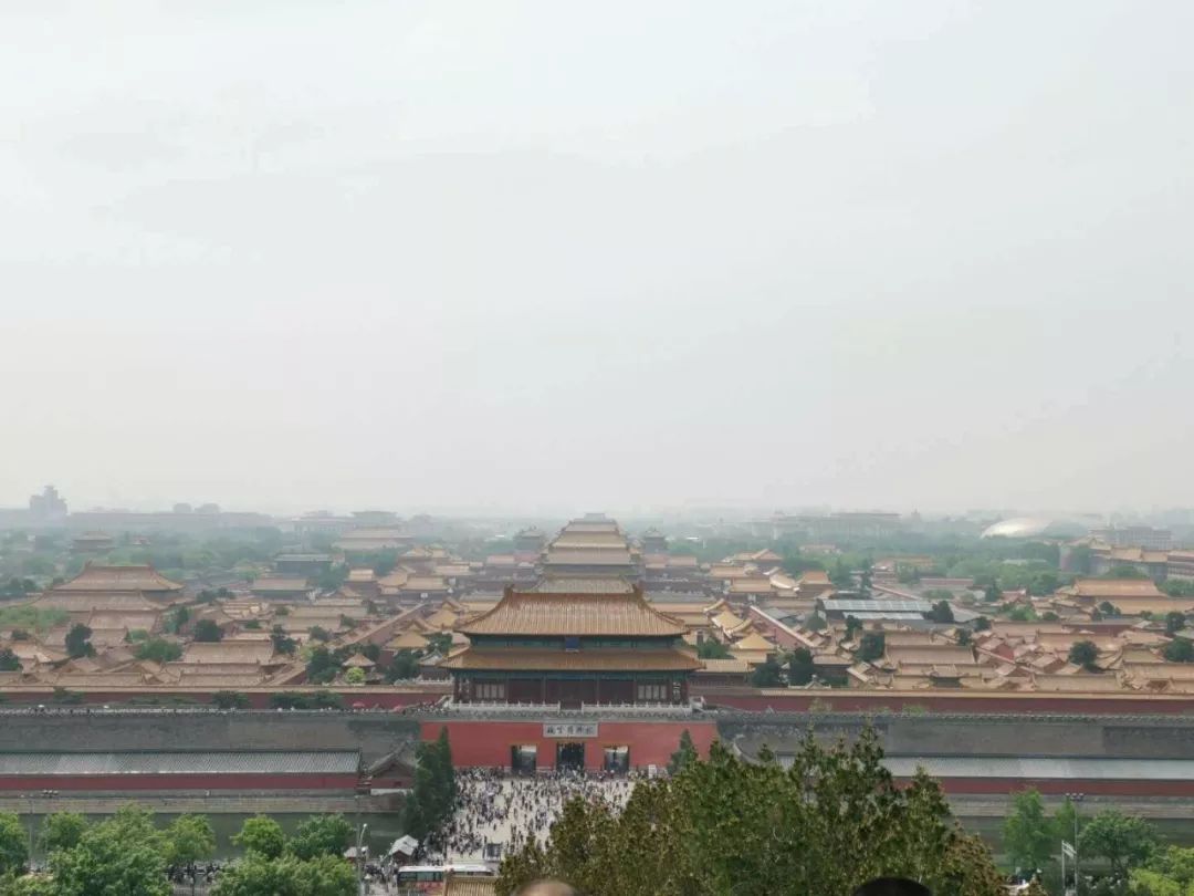 贫穷大龄女青年的2年新西兰留学移民路--幼教